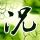 低俗怪谈